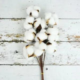 5/10pcs Naturally Dried Cotton Flower Artificial Plants Floral Branch For...
