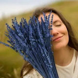 Dried Blue Lavender Flowers Bundle-Dried Preserved Lavender Bouquet 15''-17"