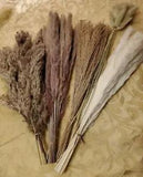 75-Piece Assortment Dried Pampas Grass Individual Stems White Browns 13