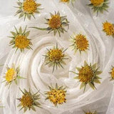 M&T 12PCS Real Pressed Dry lower with leaves, floral supply for art candle FSS30