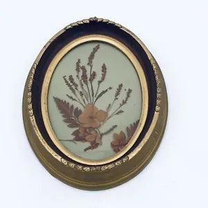 Vintage Pressed Dried Dry Flower Art Gold & Brown Oval Frame Deep Inset