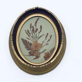 Vintage Pressed Dried Dry Flower Art Gold & Brown Oval Frame Deep Inset