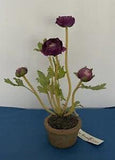 NEW GROWTH DESIGNS 11??? Faux Ranunculus Designer Potted Plant ? Purple