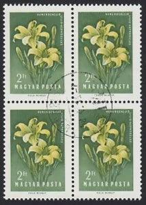 Garden Flower - LILY - Hungary 1958 Sc 1200 BLOCK OF 4