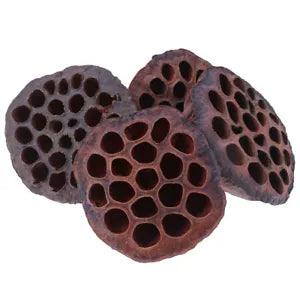 Lotus Natural Dried Flowers Bouquet Branch Decorations Floral for Pa_w*