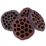 Lotus Natural Dried Flowers Bouquet Branch Decorations Floral for Party Home Cq