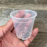 2.5??? round ultra clear seedling orchid pot, Clear plastic pot, Plastic flower pot for orchids