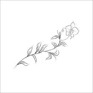 Hand Drawn Orchid Flower Arrangements. Floral Decorative Design Elements. Orchid-1. Vector Illustration. Gentle Leaves, Feminine Logos.