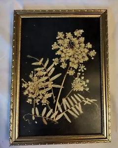 Small Framed Dried Flowers on Black Velvet