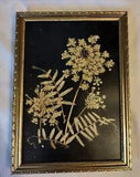 Small Framed Dried Flowers on Black Velvet