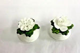 Aynsley English Fine Bone China Dainty Rose Salt & Carnation Pepper Shaker Set