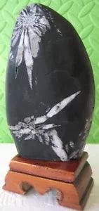 NEW LISTINGBlossom Peony~~Bonsai Suiseki ~~Chrysanthemum Stone