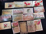 lot of 18 Language of Flowers postcards vintage cyclamen wheat carnation poppy +