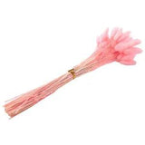 60Pcs Bunny Dried Flowers Ovatus Rabbit Tail Grass for Dried Floral (A3