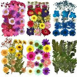 1pack Dried Flowers Resin Fillings Epoxy Pressed Flower Filling Resins Making Ac