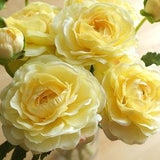 Yellow Ranunculus (FB0055-06) | artificial flower ¡§C yellow flower crown ¡§C kitchen decor¡§C yellow home decor ¡§C centerpieces ¡§C home decor ¡§C diy