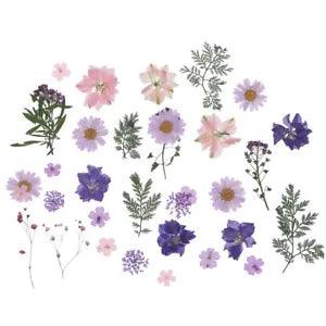 27pcsdry flowers for decoration /set Dry Flower for DIY Scrapbooking Dried