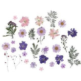 27pcsdry flowers for decoration /set Dry Flower for DIY Scrapbooking Dried