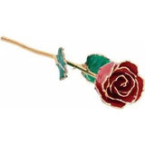 Ruby Laquered Real Rose 24K Gold Plated Trimmed Mothers Day July Birthstone Ross