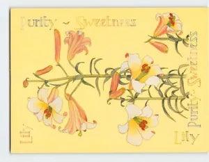 Postcard Language Of Flowers (Lily)
