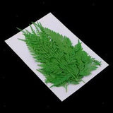 12 Pieces Pressed Leaves Natural Dried Flowers for Scrapbooking Card making