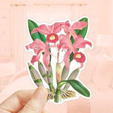 Cattleya Lawrenceana Sticker, Orchid Flower, Die Cut Sticker, Water Bottler Sticker, Laptop Decal, Flower Sticker, Waling-waling Sticker
