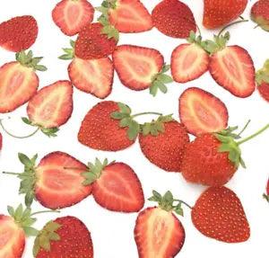 10pcs Dried Pressed Mini Fruit Strawberry Skin Slices Plant Herbarium For...