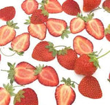 10pcs Dried Pressed Mini Fruit Strawberry Skin Slices Plant Herbarium For...