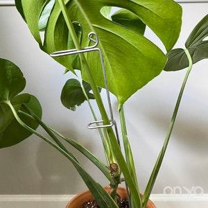 Long Plant Stake, Steel Large Swizzle Plant Stick, Tall Plant Stake, 18" Plant Stakes, Indoor Plant Stake, Plant Stem Holder, Plant Gift