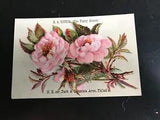 1800's RS Young Pink Peony Bloom Spray with Ivy Victorian Trade Card