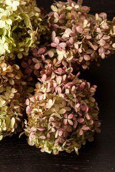 How to Create a DIY Flower Christmas Tree Flower Delivery