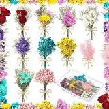 10 Pcs Mini Dried Flowers Gypsophila Bouquets