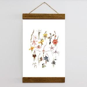 Vintage Colour ORCHID illustration  BOTANICAL Wood Framed Canvas Print, Home Decor Vintage Art, Dorm Posters Floral Plant Print