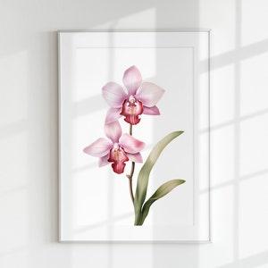 Orchid Print, Floral Print, Flower Print, Botanical Print, Orchid, Wall Art, Wall Print, Botanical Poster, Flower lithograph, Vintage poster