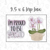 Orchid Plant Collection for 9.5 x 6 brp box 4 inch