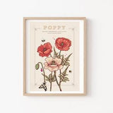 Poppy Wall Art Print, August Birth Flower Illustration Print