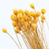 50 Pcs Decorative Dried Flower Bouquet  for Home Wedding Decoration