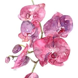 Pink Orchid Print - Painting titled, "SC Orchid", Watercolor Flowers, Watercolor Print, Orchid Plant, Orchid Painting, Orchid Art,Home Decor