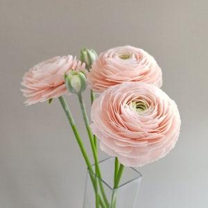 Ranunculus. Polymer clay flowers. Artificial flower. Bouquet for home decor and interior design. Handmade flowers. Cold porcelain flowers.