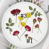12PCS real Pressed rose bud flower, natural colors with leaves stem FHT20
