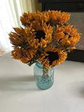 SUNFLOWERS * DRIED FLOWER Bunch BOUQUET Bundle ORANGE USA Grown Flowers Auc.#5