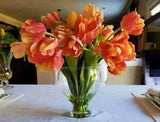 Orange Flowers in Glass Vase