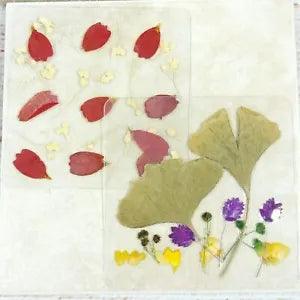 Dried Pressed Flowers Natural Flower Petal Set Resin Art Design Home D???cor Gift