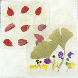 Dried Pressed Flowers Natural Flower Petal Set Resin Art Design Home D???cor Gift