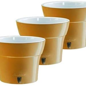 SET of 3 Plastic Self-Watering DALI-Modern Flower Pot with Water Level Indicator for All House Plants,Flowers, Herbs, Succulents and Orchids
