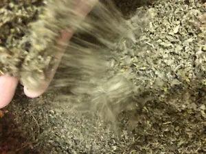 marshmallow leaf bulk althaea herb cut c/s organic botanicals - 12 oz ounces