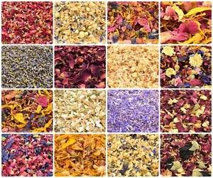 Natural Wildflower Wedding Confetti 100% Biodegradable Mixed Petals - 32 Types!