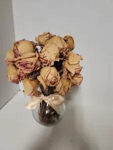 Naturally Dried Roses, Peach Color with Red Trim on Tips, approximately 24 Roses