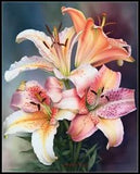 Oriental Lilies 2 - DIY Chart Counted Cross Stitch Patterns Needlework DMC