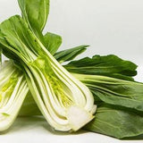 Chinese Cabbage Bok Choy Pak Choi 1g - 200 NON GMO Seeds - Brassica Rapa Chinensis